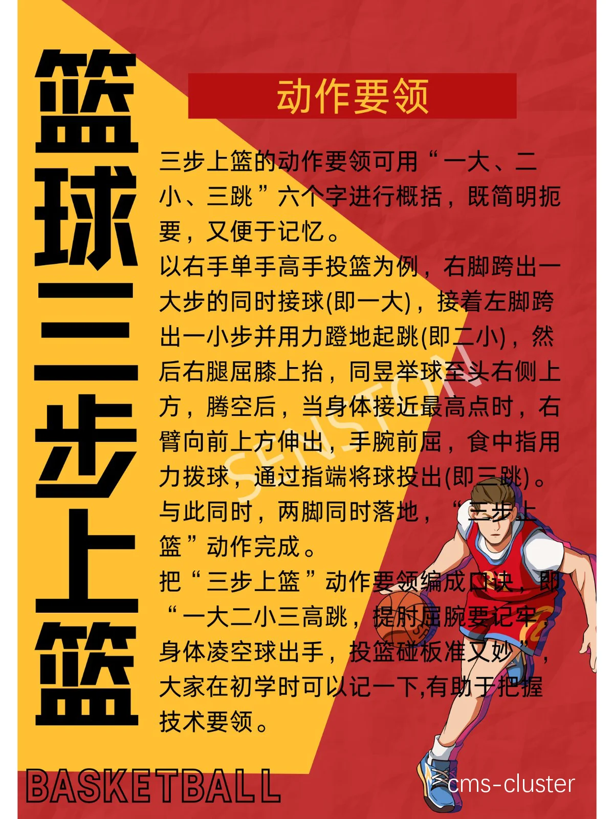 初学者如何处理篮球训练中的基础技巧